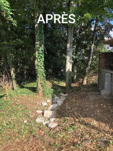 2020-08-Osons-le-vert-001