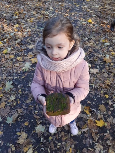 2020-12-Balade-Automne-002